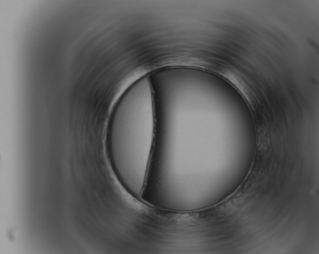 X0000093471139200710121005