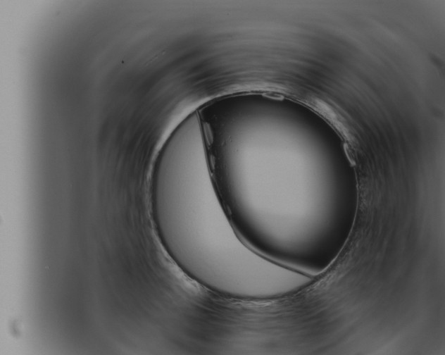 X0000093471140200710121005