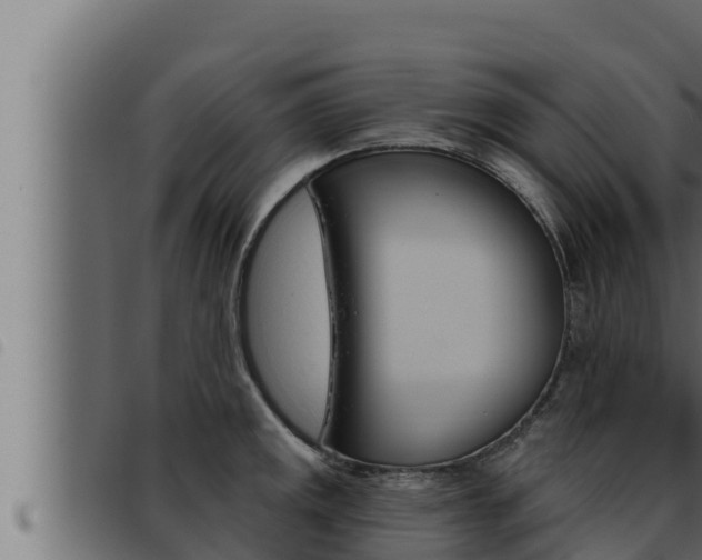 X0000093471141200710121005