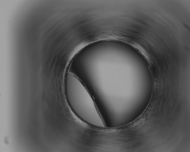 X0000093471143200710121005