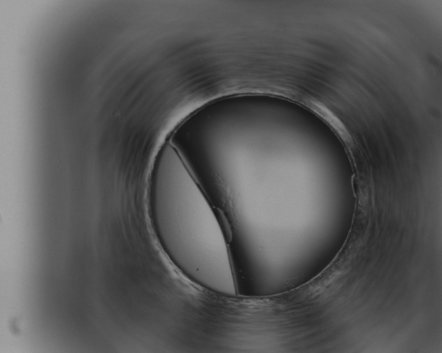 X0000093471144200710121005