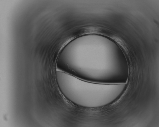 X0000093471145200710121005