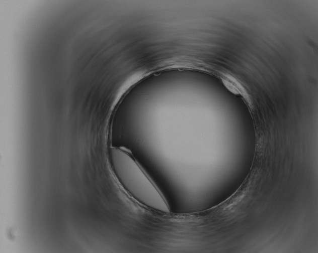 X0000093471146200710121005