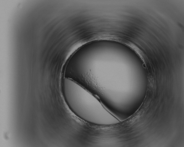 X0000093471147200710121005