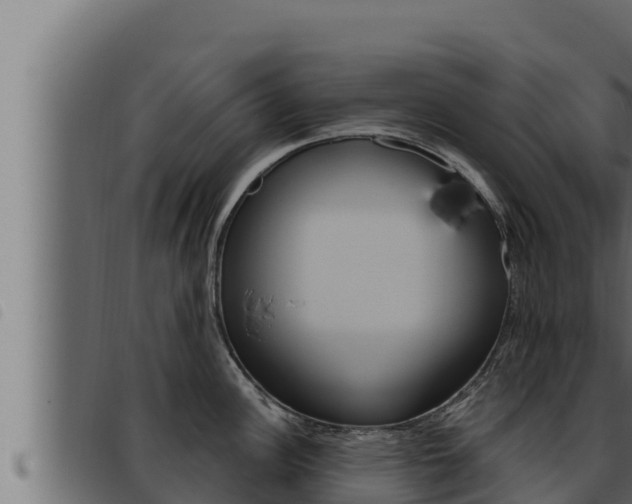 X0000093471148200710121005