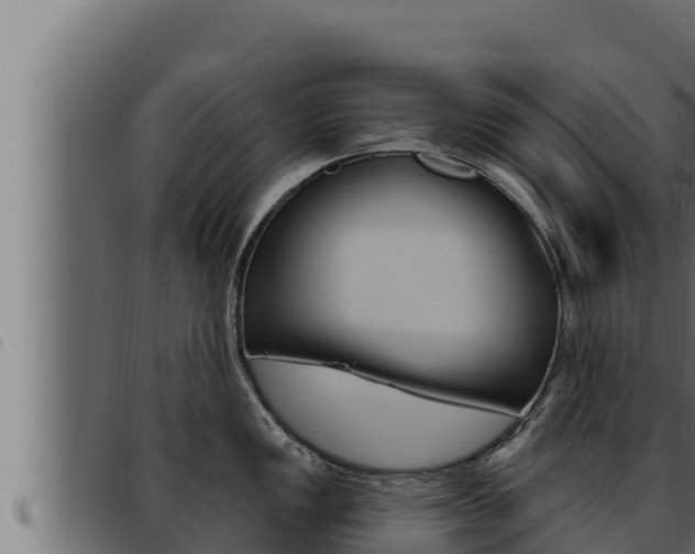 X0000093471149200710121005