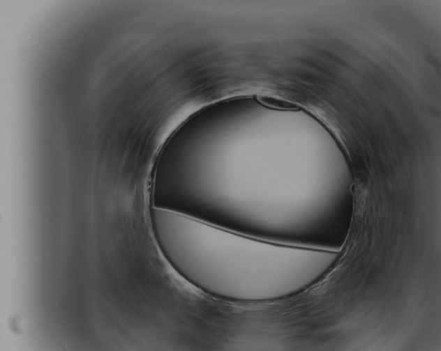 X0000093471151200710121005