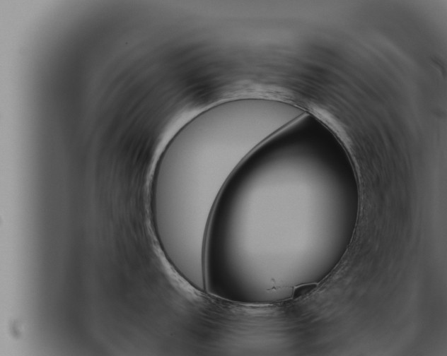 X0000093471152200710121005