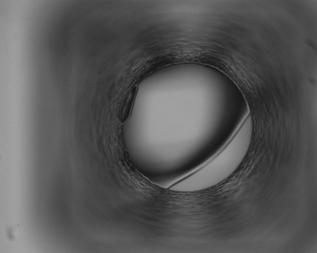 X0000093471153200710121005