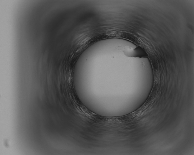 X0000093471154200710121005
