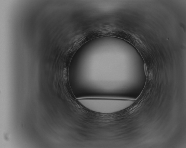 X0000093471156200710121005