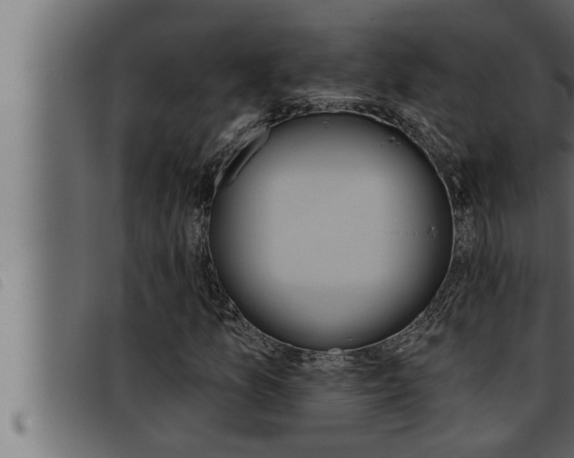 X0000093471157200710121005