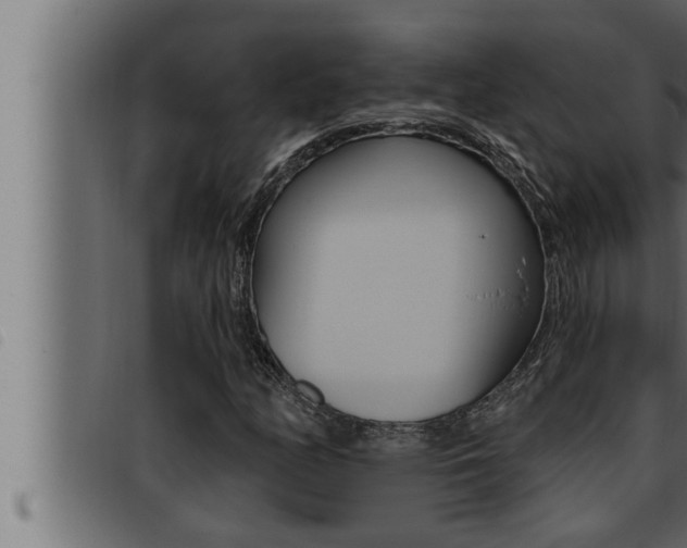 X0000093471158200710121005