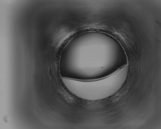 X0000093471159200710121005