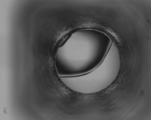 X0000093471160200710121005