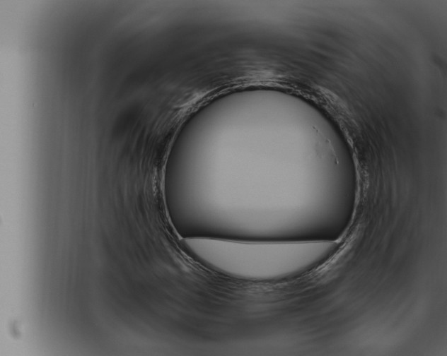 X0000093471161200710121005