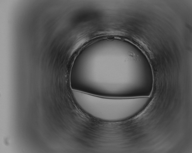 X0000093471163200710121005
