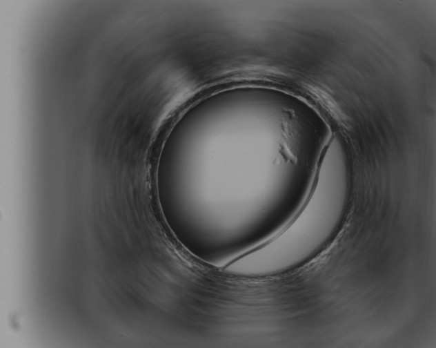 X0000093471164200710121005