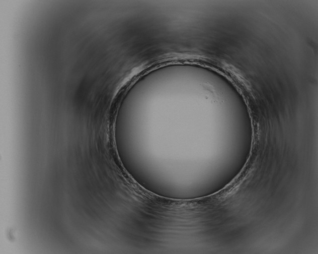 X0000093471165200710121005