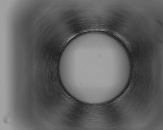 X0000093471169200710121004