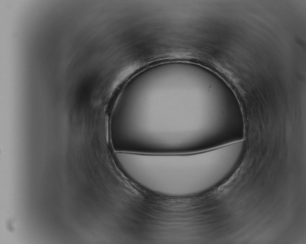 X0000093471171200710121004
