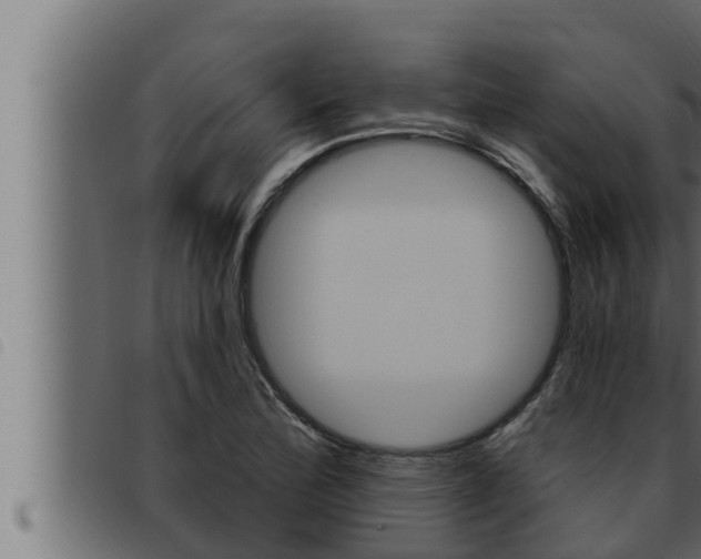 X0000093471172200710121004