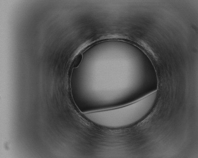 X0000093471173200710121004