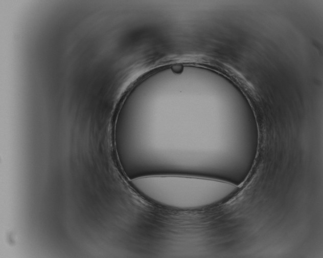X0000093471174200710121004