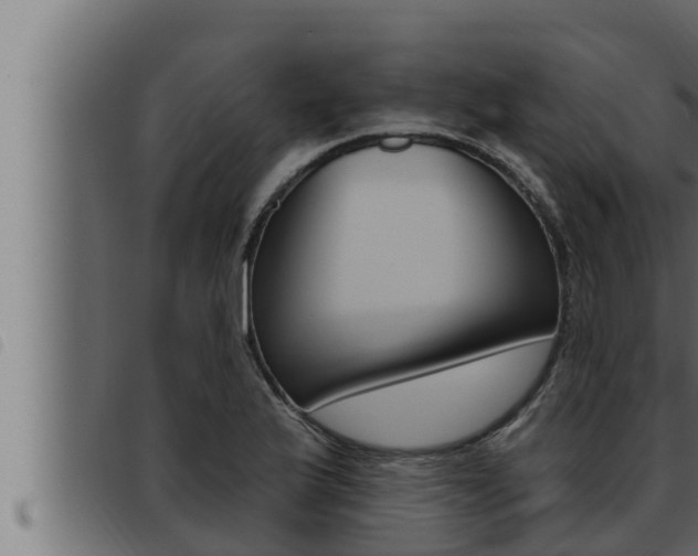 X0000093471175200710121004
