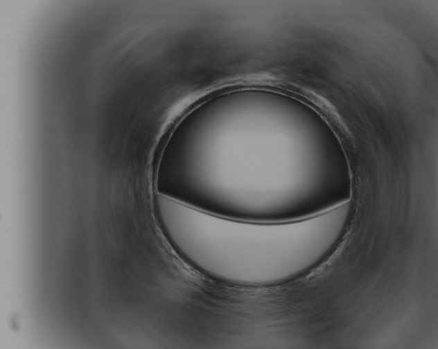 X0000093471176200710121004