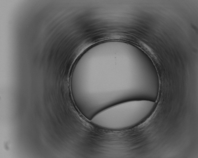 X0000093471178200710121004