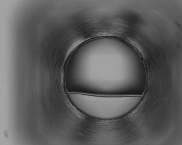 X0000093471179200710121004