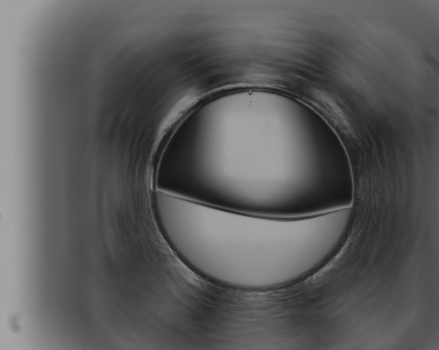 X0000093471180200710121004