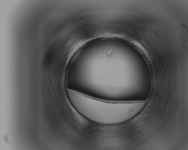 X0000093471183200710121004