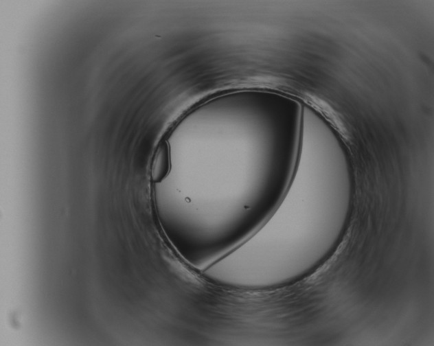 X0000093471184200710121004
