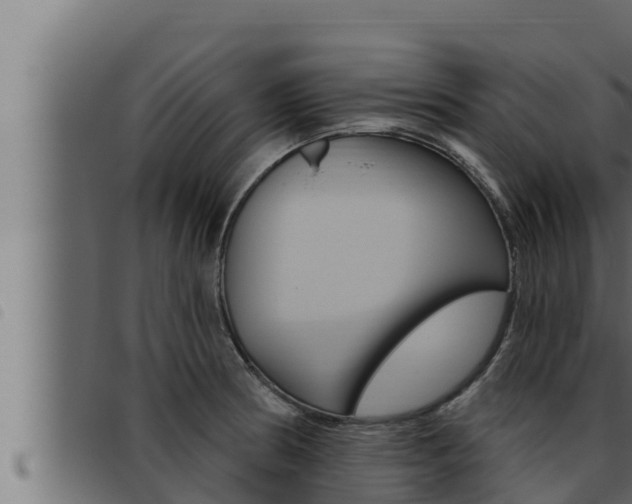 X0000093471186200710121004