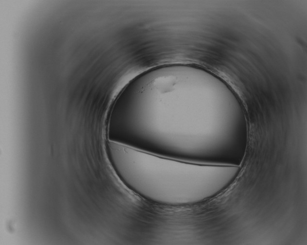 X0000093471187200710121004