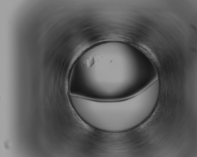 X0000093471188200710121004