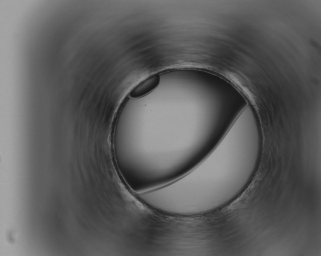 X0000093471189200710121004