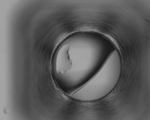 X0000093471191200710121004