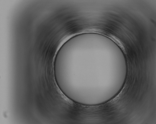 X0000093471192200710121004