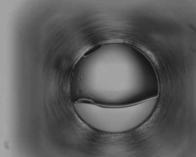 X0000093471193200710121004