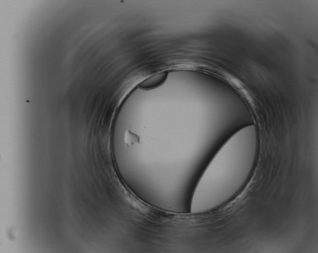 X0000093471194200710121004