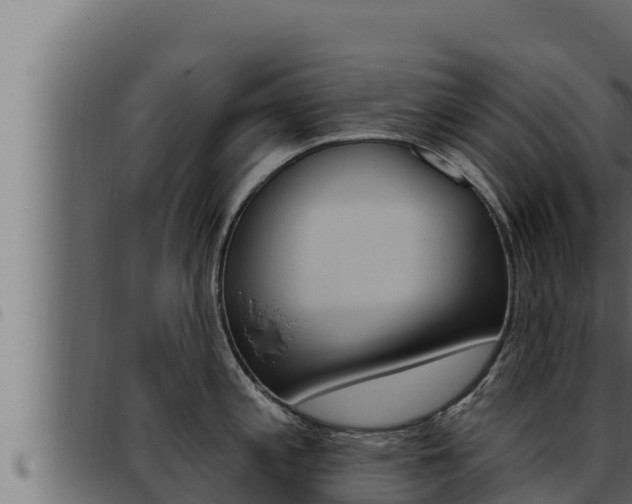 X0000093471197200710121004