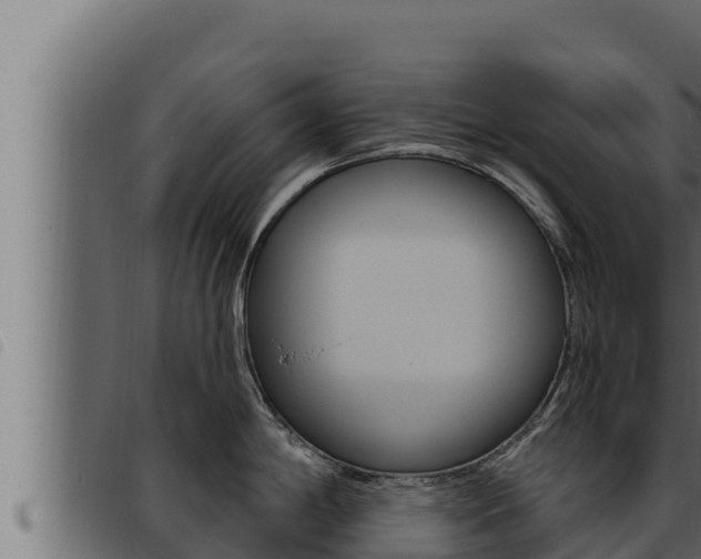 X0000093471198200710121004