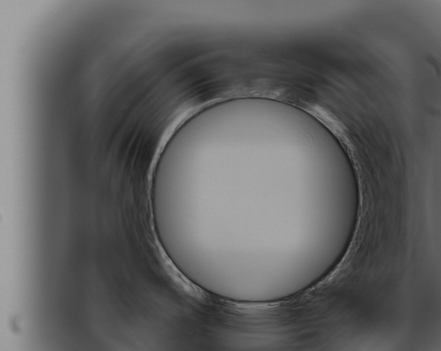 X0000093471200200710121004