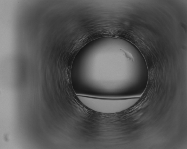 X0000093471202200710121003