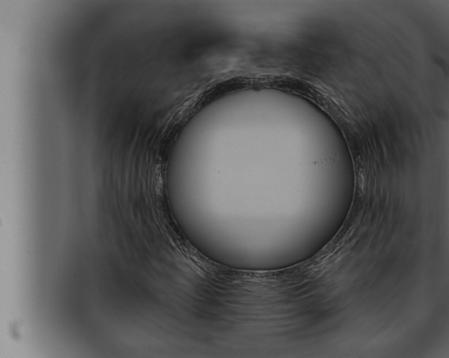 X0000093471204200710121003