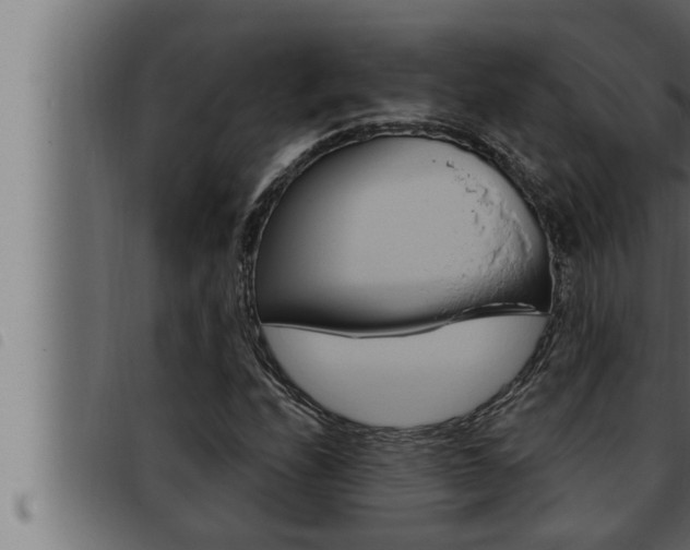 X0000093471208200710121003