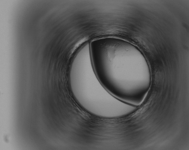 X0000093471210200710121004